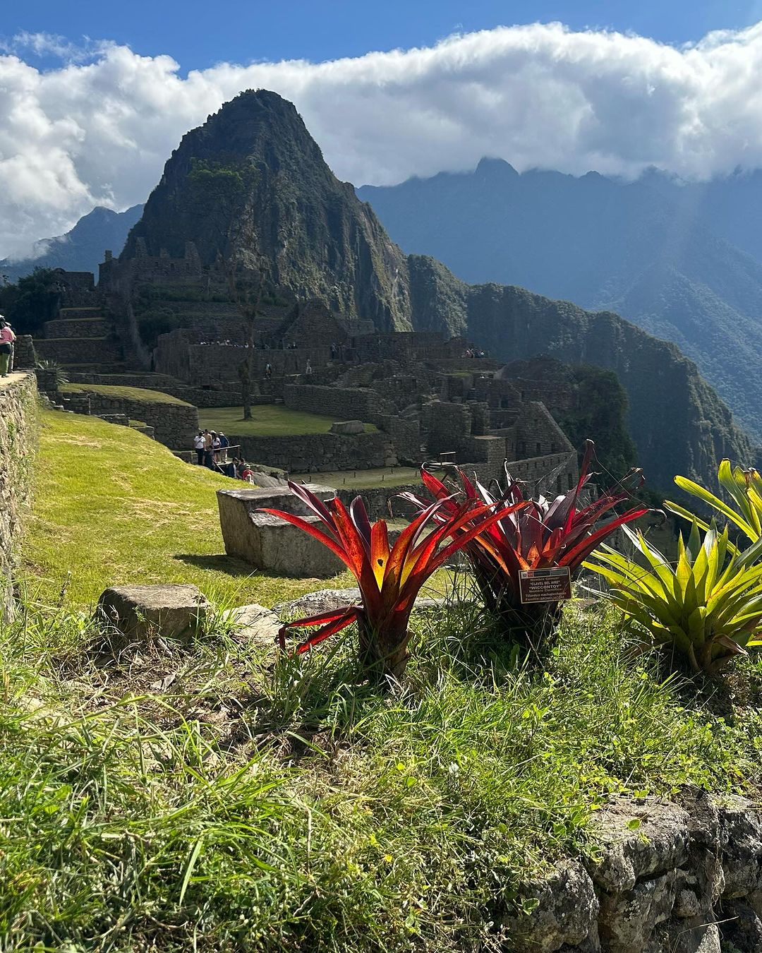Tour-Machupicchu Peru.Wonderful (17)