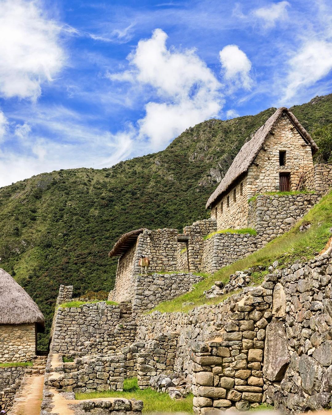 Tour-Machupicchu Peru.Wonderful (54)